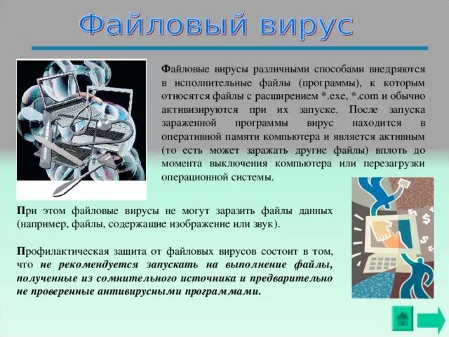 Какой вид компьютерных вирусов внедряются и поражают. Файловые вирусы. профилактика файловых вирусов. файловые вирусы определение. вид компьютерных вирусов которые внедряются.