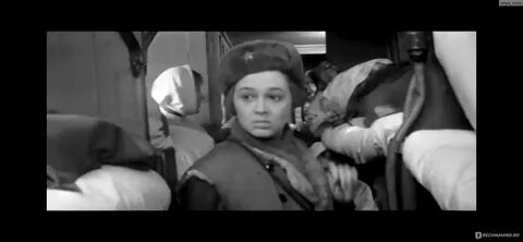 23 просмотра