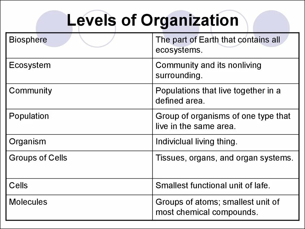 Levels of Organization. Levels of Life Organization. Levels of Biological Organization. Levels of Organization Cell to Tissues.