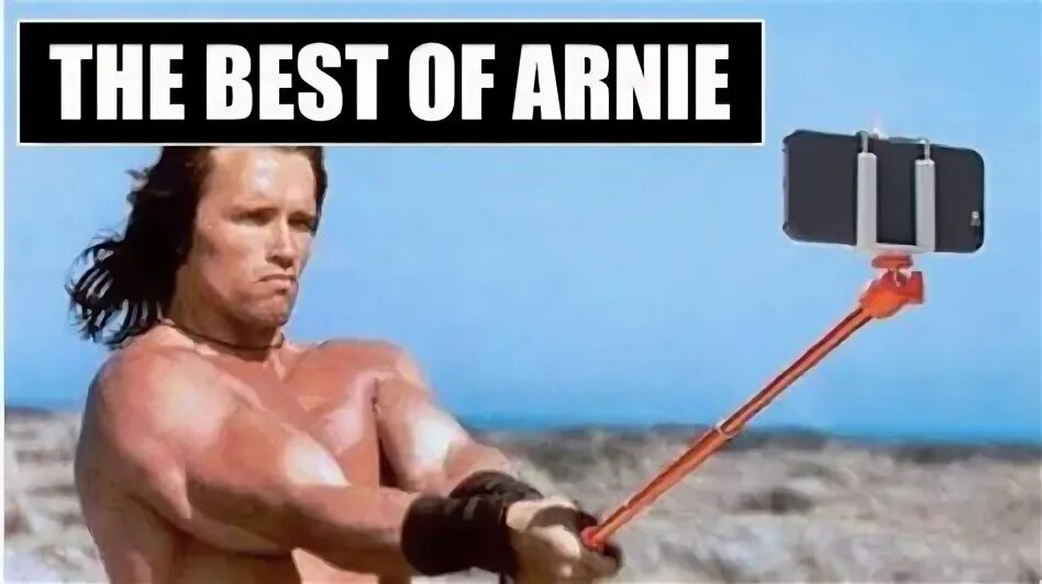 дамы и господа мем шварценеггер оригинал