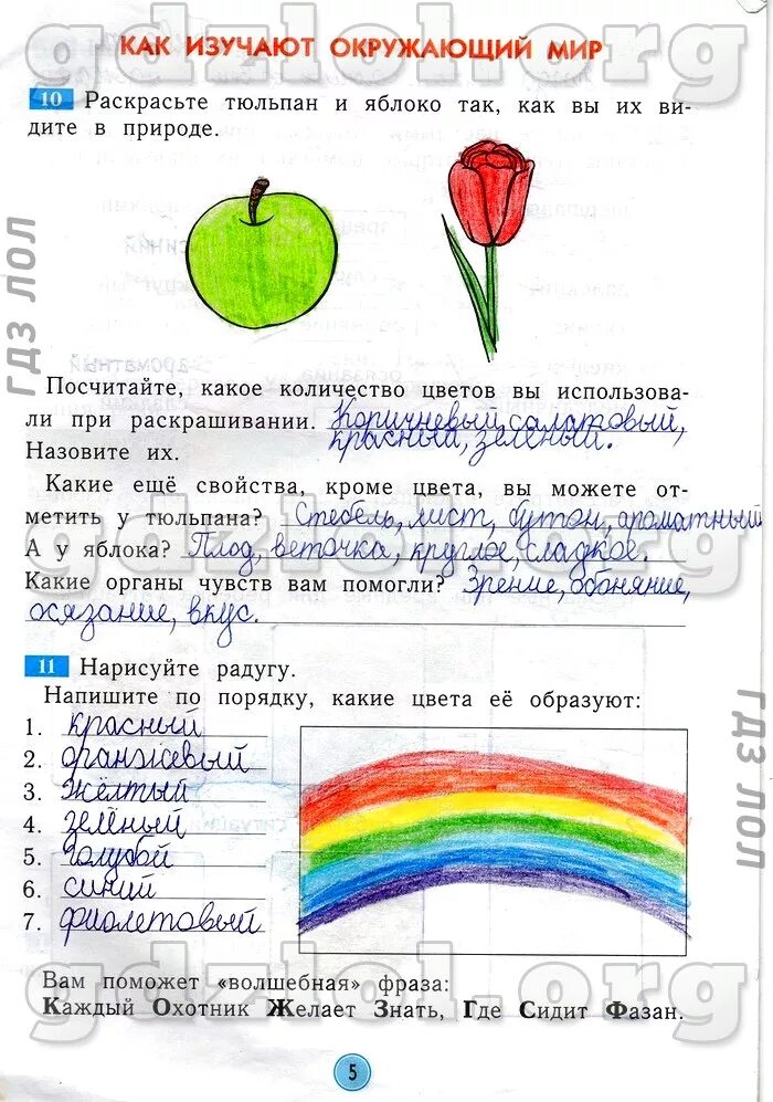 Как выучить окружающий мир. Как выучить окружающий мир