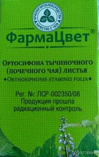 Ортосифона тычиночного почечного отзывы