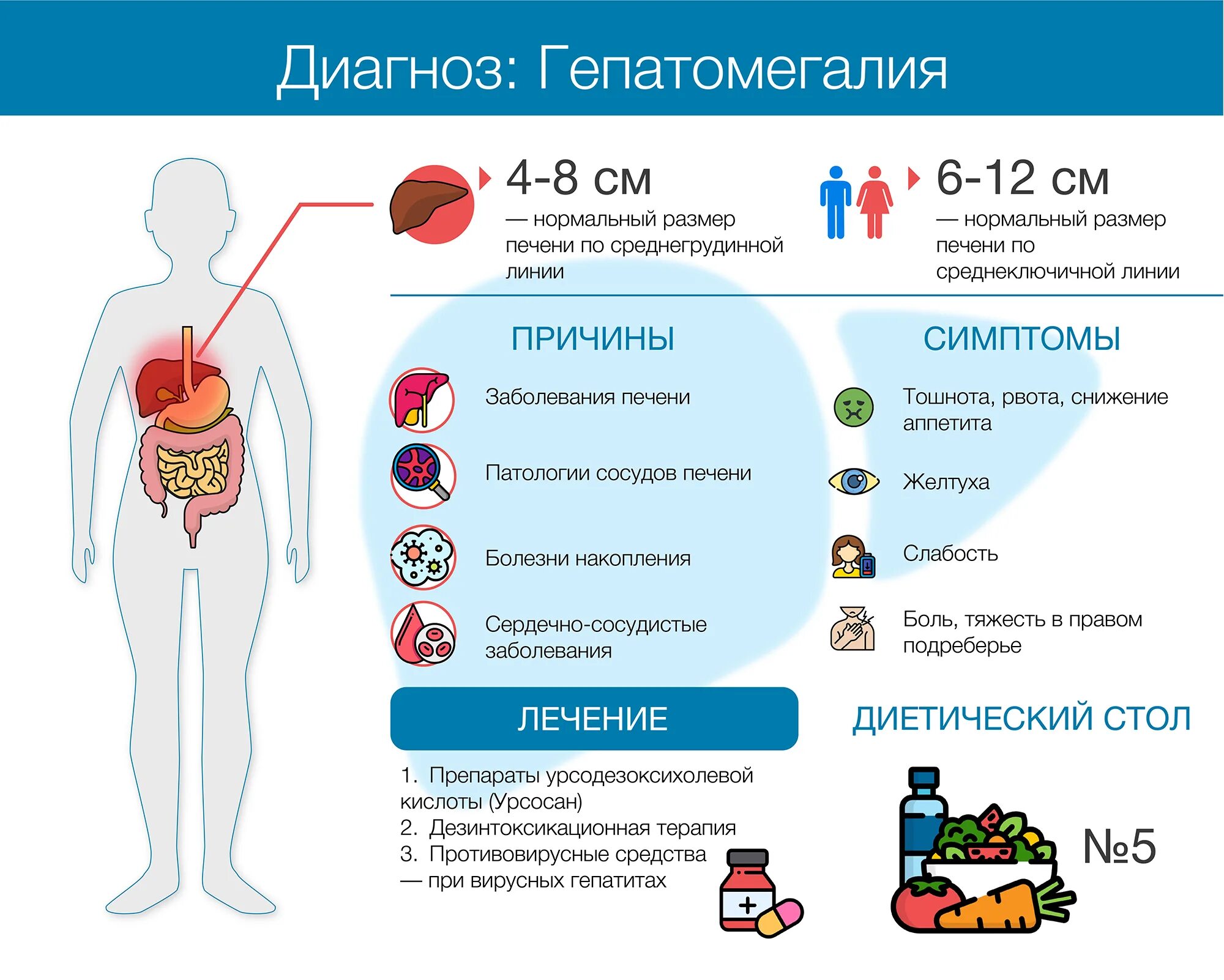 Признаки гепатомегалии жирового