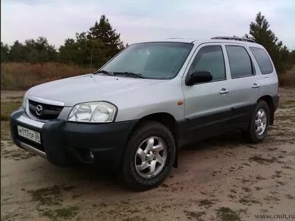 Трибьют 2001 г