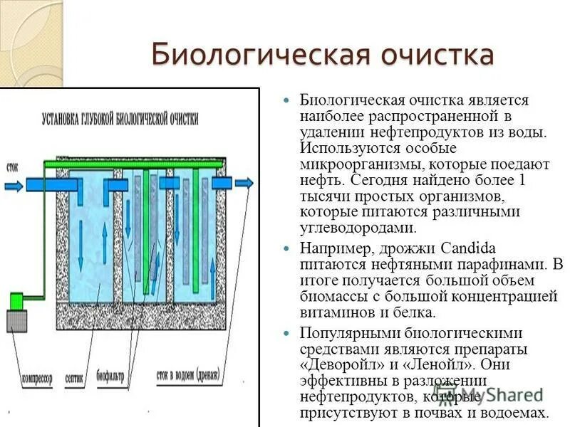 Очистка воды книги. Биологический метод очистки воды. Биологический этап очистки воды схема. Методы очистка вод биологической. Биопруды для очистки сточных вод схема.