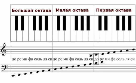 Расположение басовых нот. Басовый ключ малой октавы. Басовый ключ пианино малая Октава. Ноты малой октавы в басовом Ключе. Ноты в басовом Ключе большая и малая октавы.