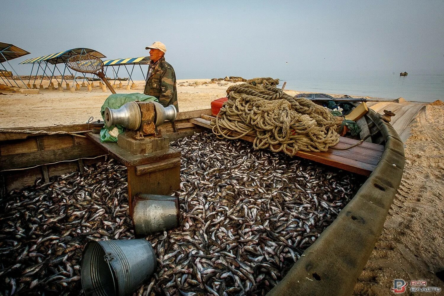 Рыбный промысел в Азовском море. Береговая ихтиофауна Азовского моря. Ловля бычка на Азовском море. Азовское море промысел.