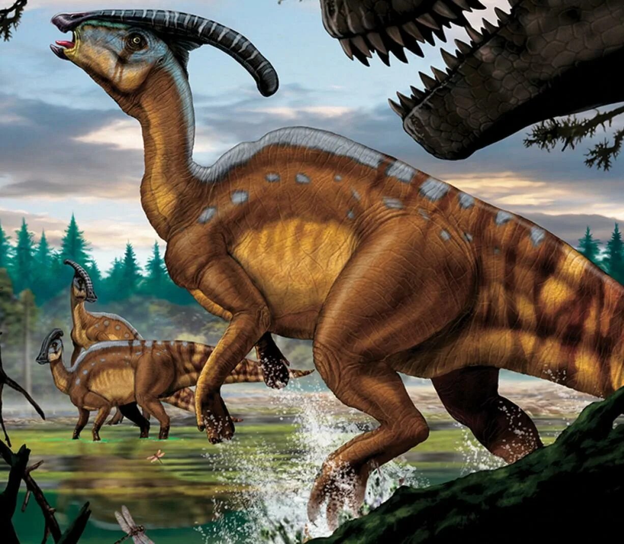 Паразауролоф 2000. Паразауролоф the isle. Паразауролоф динозавр. Паразауролоф бермуда. Паразауролоф парк юрского периода.