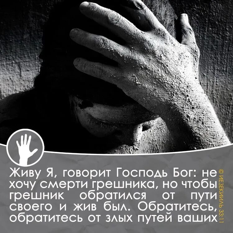 Читать королева умирать не желает