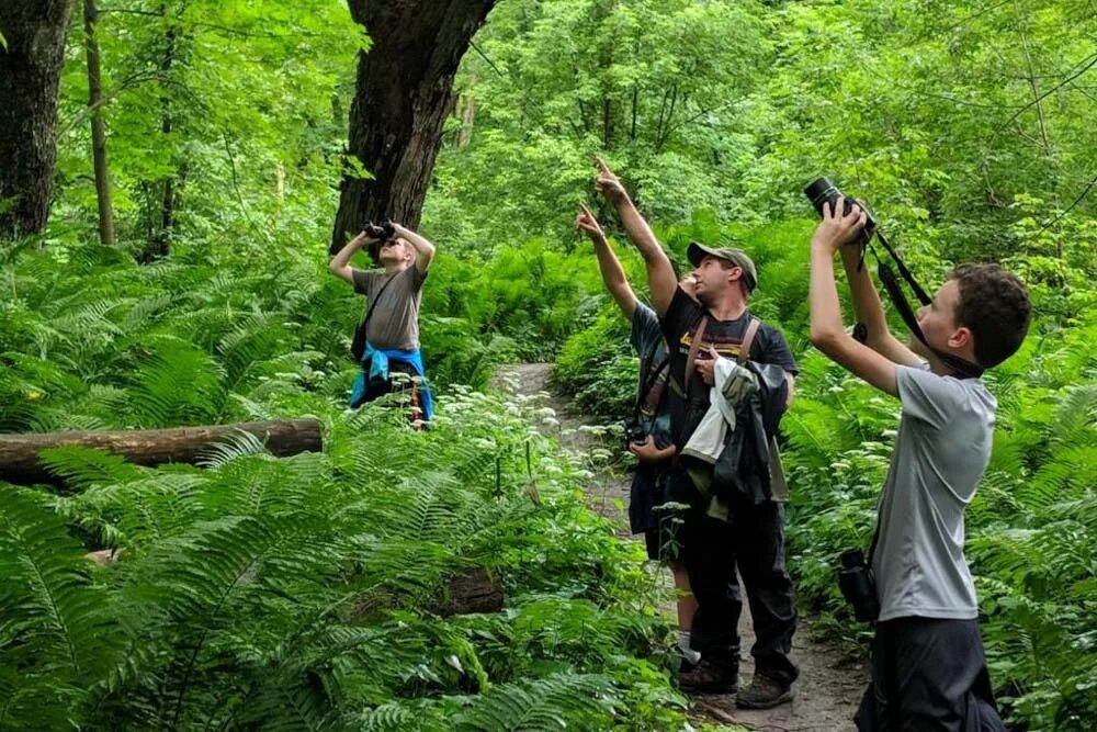 Naturalist add on. Натуралисты на природе. Фотограф Дискавери. Фотонатуралист. Натуралисты на природе семья.