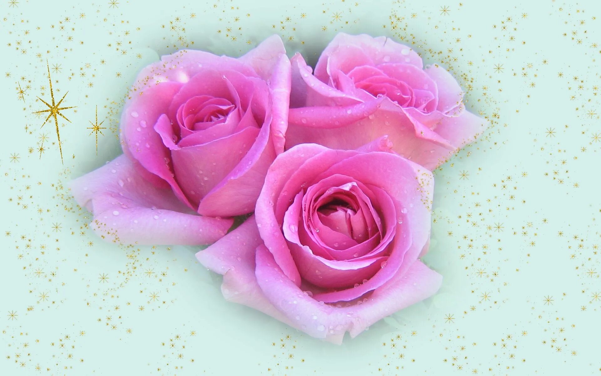 Мама розочки. Розочка открытка. Розовые розы. Розовые розы обои. Розовая открытка.