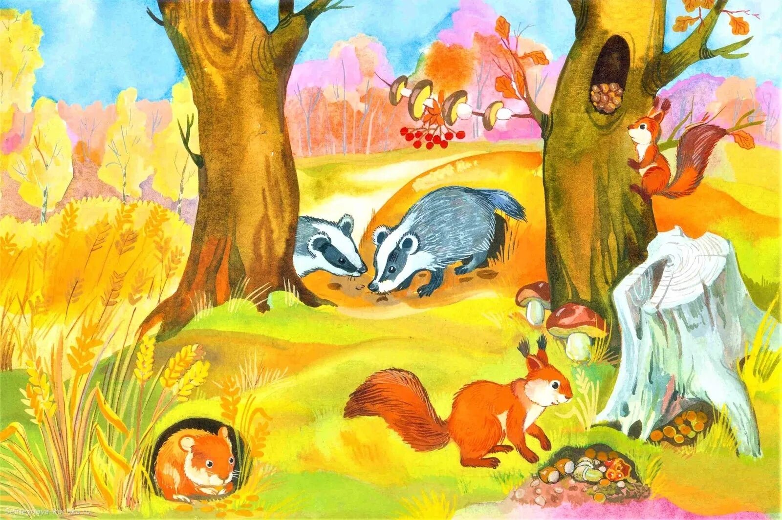 Животные готовятся к зиме. Иллюстрации осень для детского сада. Осенью звери готовятся к зиме. Животные осенью для детского сада.