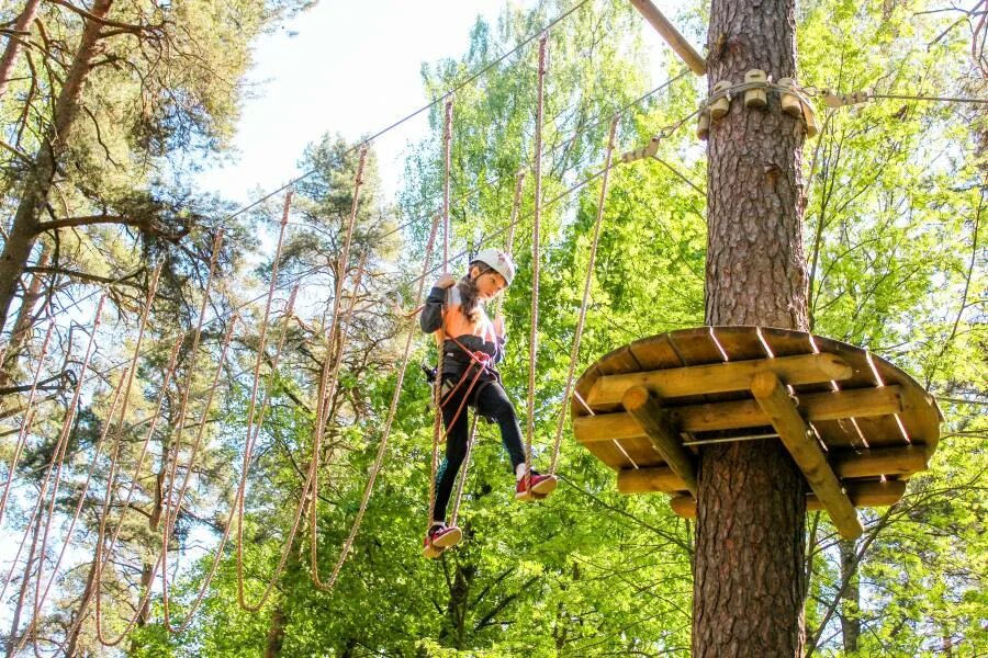 Гелиос отель веревочный парк. Зеленогорск веревочный парк. Веревочный парк Зеленогорский парк. Веревочный парк Чернушка.