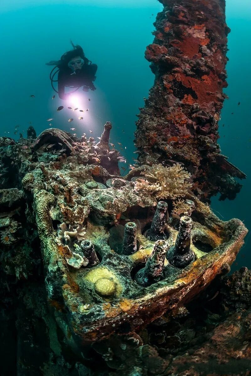На морском дне. Тайны морского дна. Тайны морского дна. Глубина. Остров бимини атлантида.