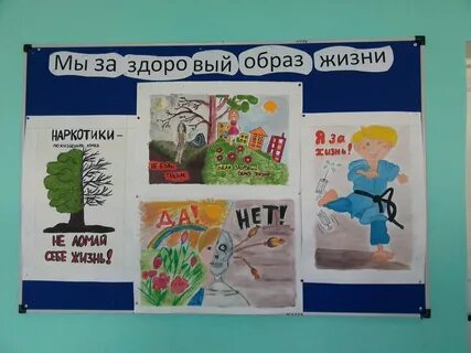 Проект мы выбираем жизнь