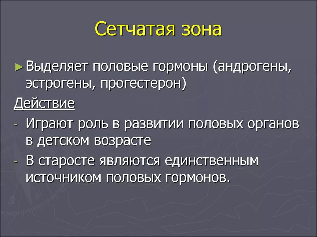 Сетчатая зона. Понятие о половых гормонах. Сетчатая зона выделяет половые гормоны. Половые гормоны характеристика. Половые гормоны андрогены и эстрогены.