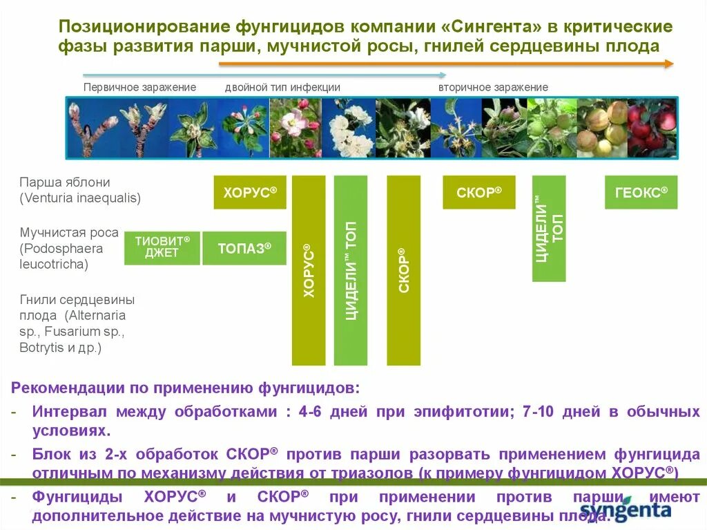 Ракурс фунгицид инструкция