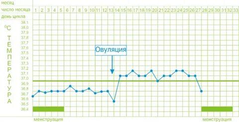 График температуры при овуляции
