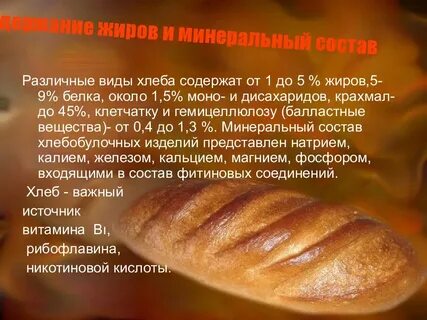 Функциональная грамотность дрожжи