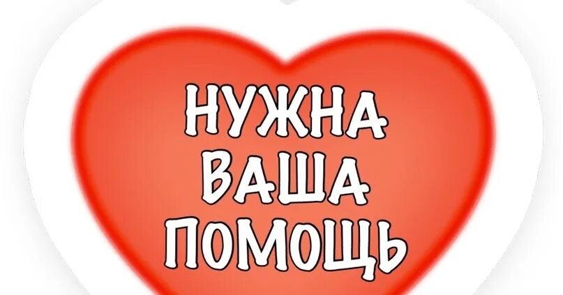 Изображение не требует описания