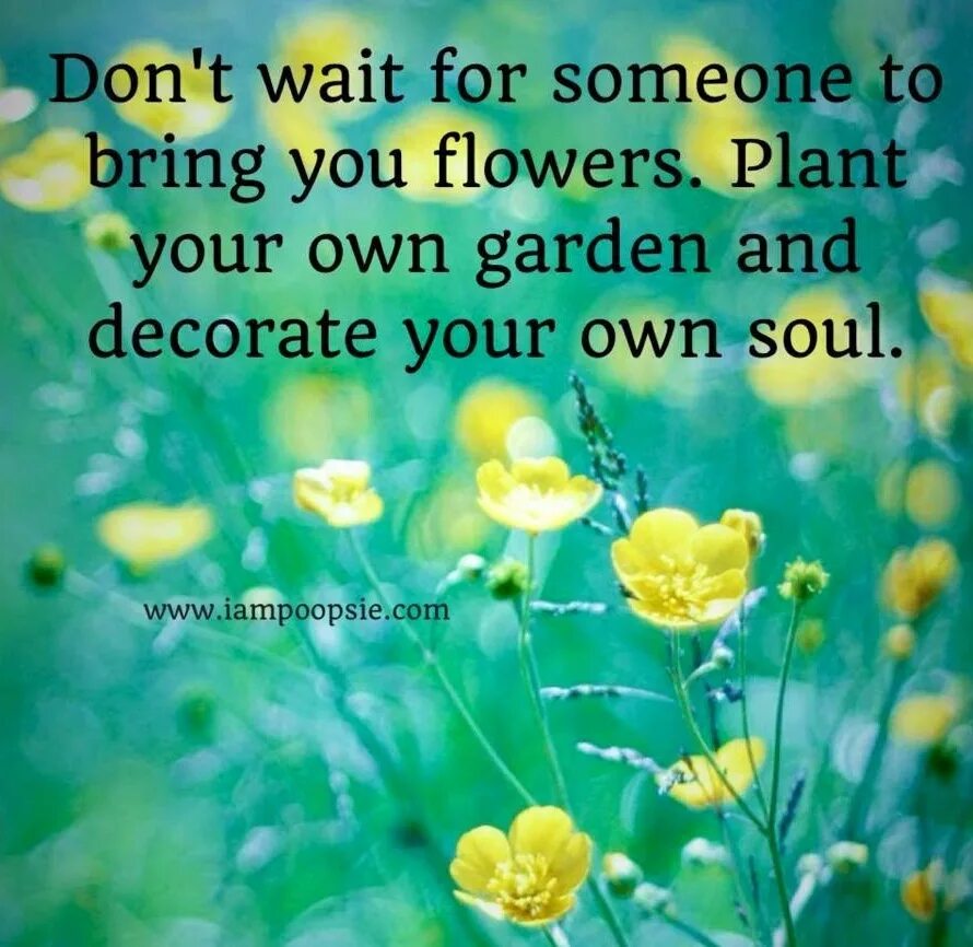 Flowers is quote. Красивые высказывания о цветах. Цветы цитаты на английском. Цветы цитаты на английском. Фразы про цветы на англ.