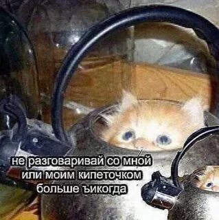 Говори со мной года