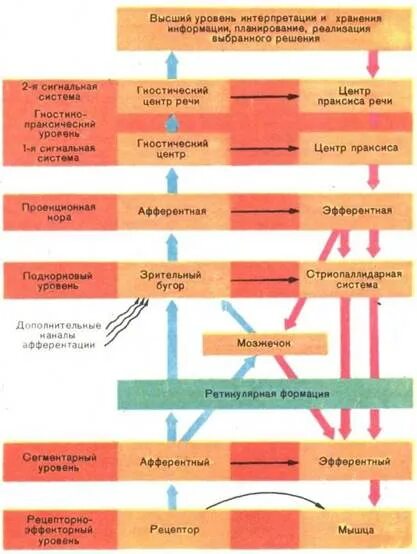 Уровни интерпретации