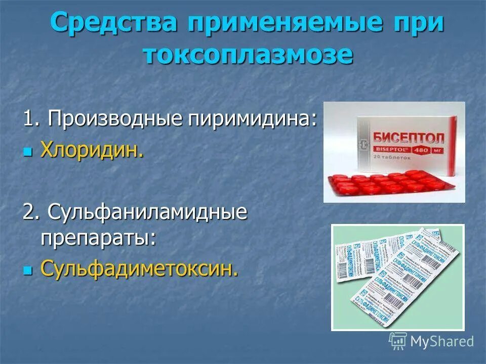 Хлоридин. Препараты при токсоплазмозе. Хлоридин таблетки. Противопротозойные средства классификация.