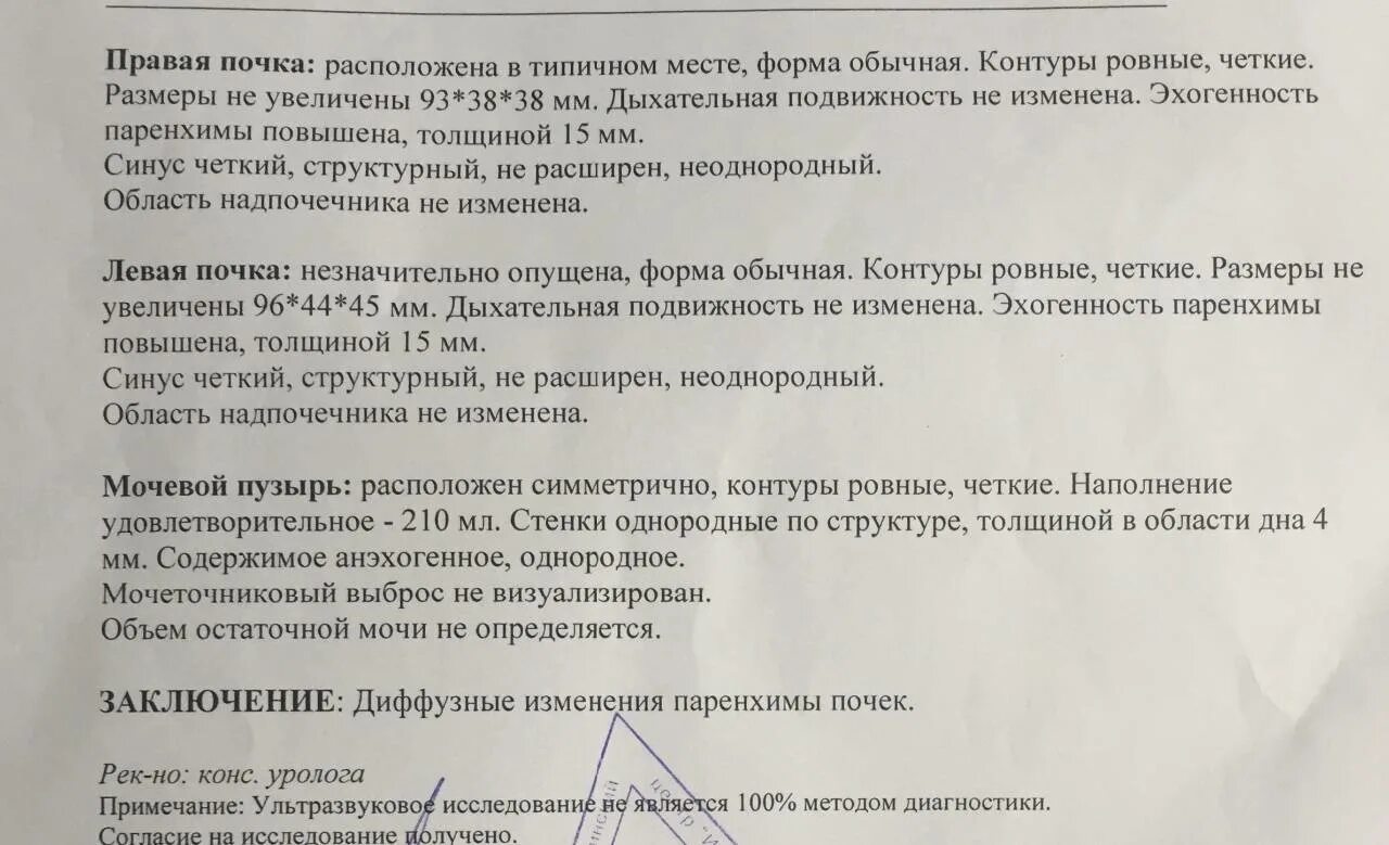 Заключение пиелонефритов. Узи почек протокол норма. узи мочевого пузыря протокол. узи почек протокол узи. узи гломерулонефрит заключение.