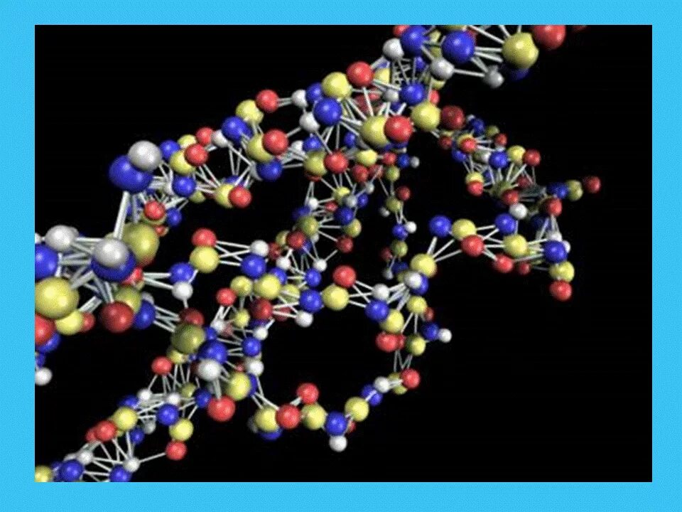 Катализаторы живых клеток. Protein data Bank. PDB. EOV 19 PDB. Manga Molecular Biology.