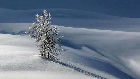 Снег 5 букв