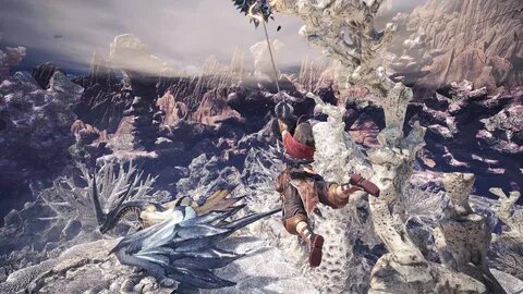 Monster hunter plati