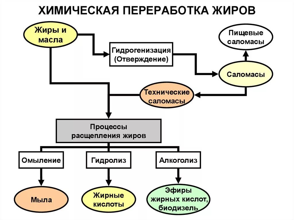 Производство пищевого жира. Способы технической переработки жиров. Способы промышленной переработки жиров. Жиры способы технической переработки. Переработка жиров химия.