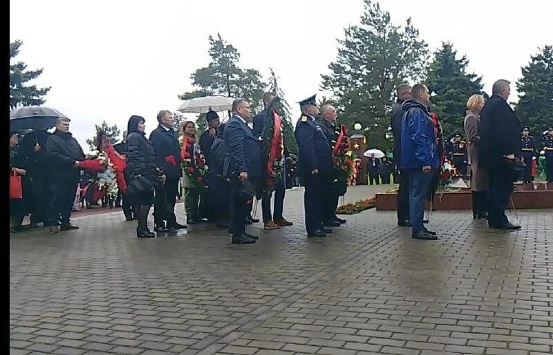 цзн кущевская