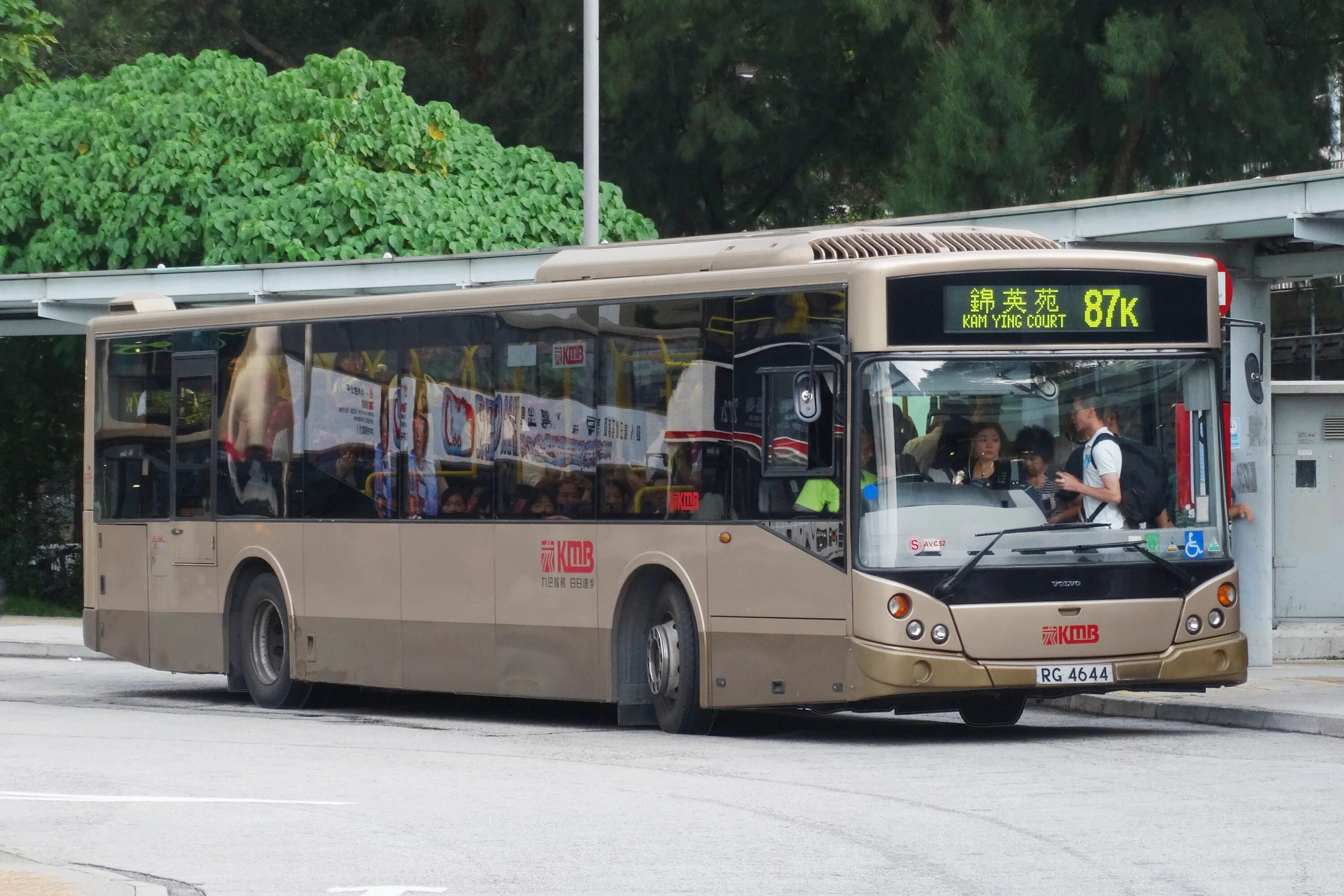 Mcv b