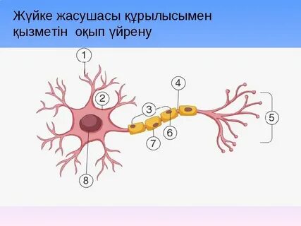 Сауна порно