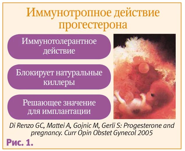 Прогестерон действие. Прогестерон влияние на организм. Прогестероновое воздействие. Иммуномодулирующее действие прогестерона. Низкий прогестерон симптомы