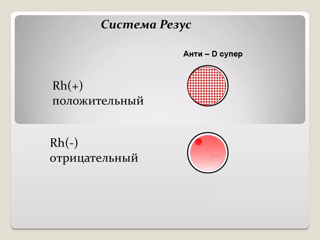 Резус rh положительный. Определение резус фактора цоликлонами. Определить резус-фактор крови цоликлонами. Методика определения резус-фактора цоликлоном анти-d. Определить резус-фактор крови цоликлонами анти д.