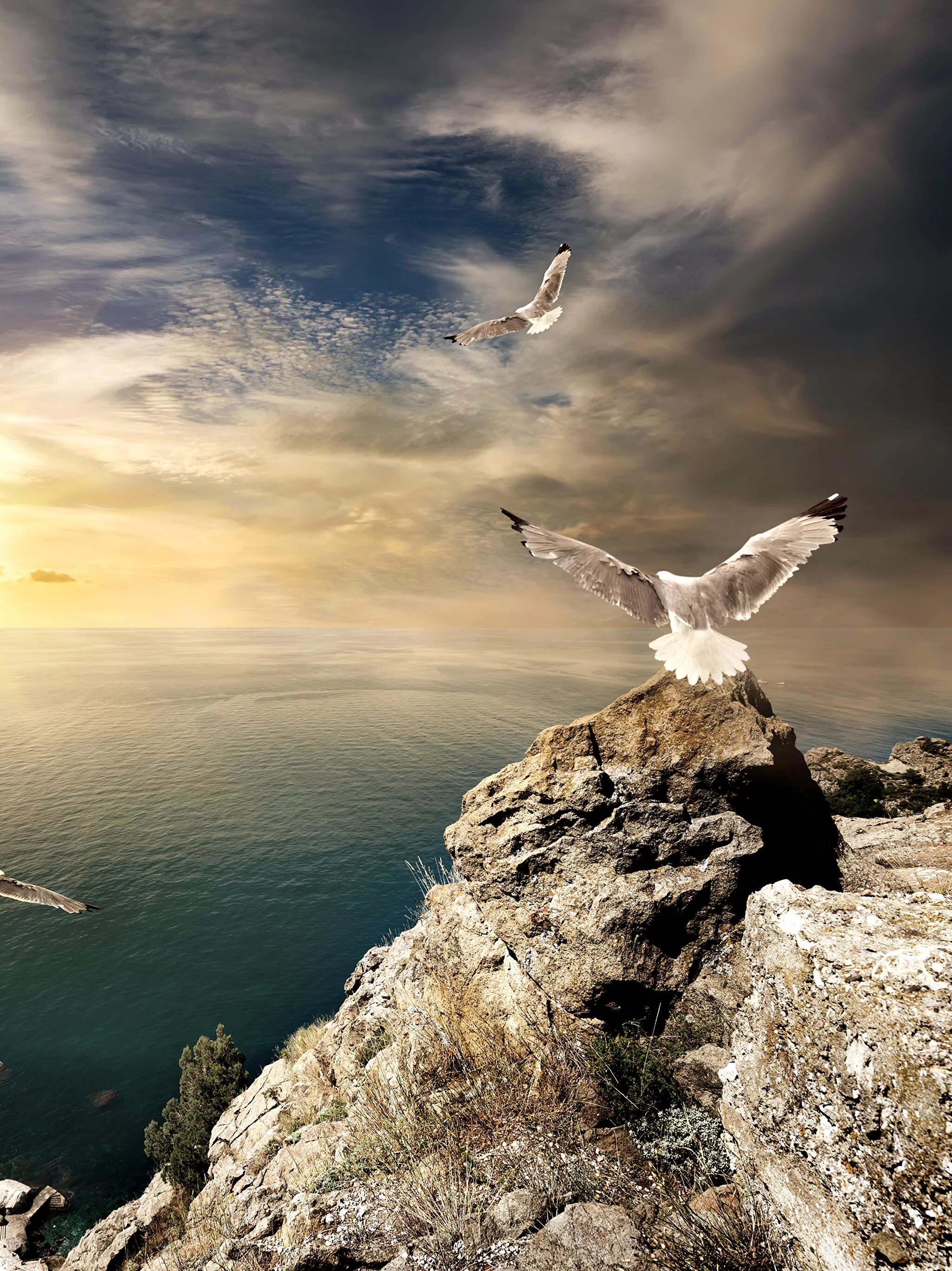 свобода картинки. руки на фоне заката. орел в небе. телефон свободы. свобода.