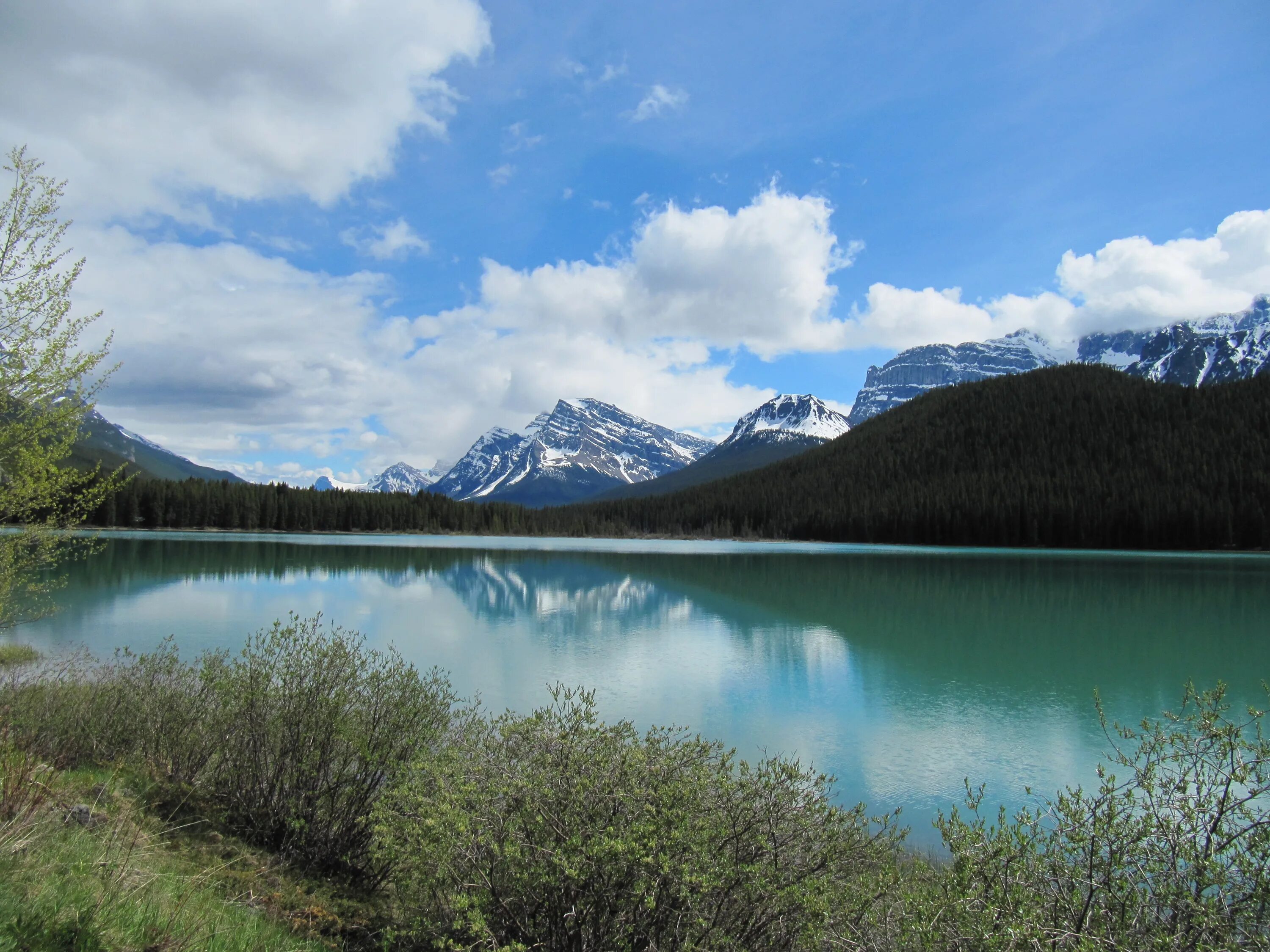 Парк банф канада. Many lakes. Озеро луиз национальный парк банф. The nature outlook. Холодное озеро.