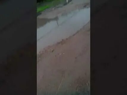 Погода чемолган