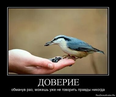 Сказал довериться мне