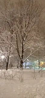 Снег кружится летает и тает