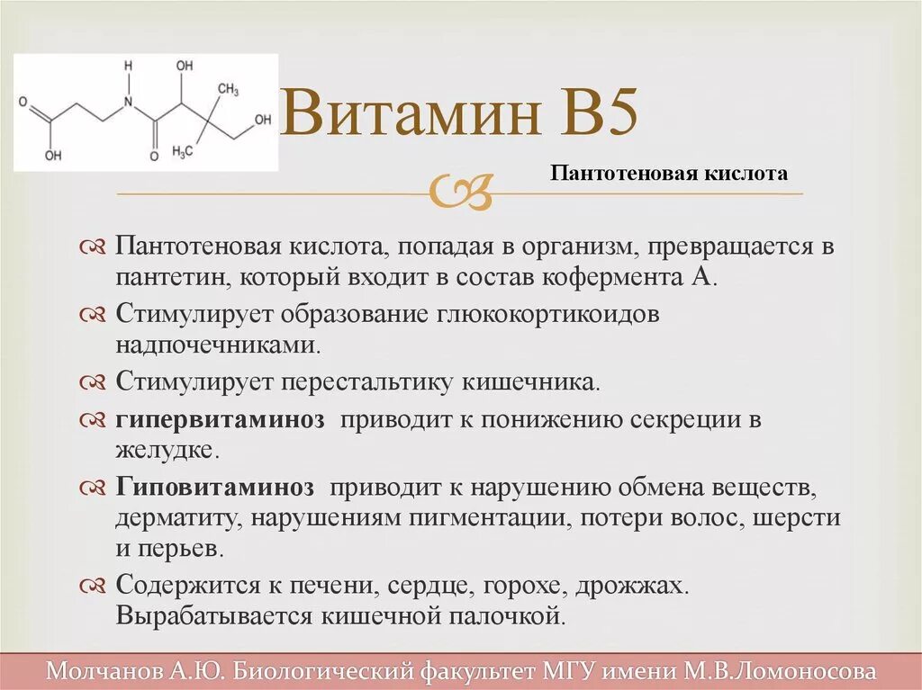 Активная форма в 5. Витамин б5 пантотеновая кислота. Витамин в5 пантотеновая кислота функции. Витамин в5 или пантотеновая кислота. Витамин в5 функции и болезни.