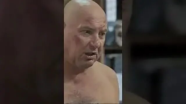Пес где гнездилов не чувствует боли. Пёс 2 гнездилов. пес 4 гнездилов.