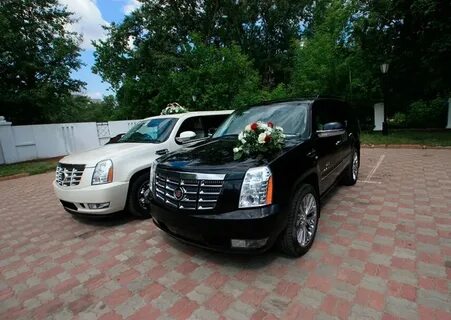 Аренда элитных авто