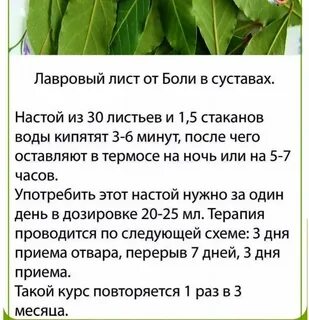 Лавровый лист как лекарство