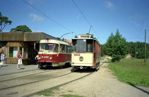 5 6 1990
