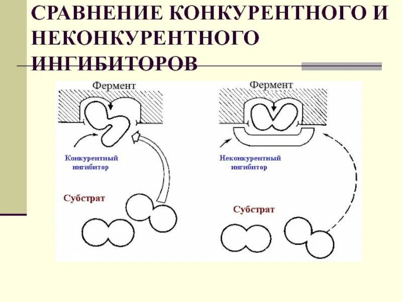 Механизмы действия конкурентного и неконкурентного ингибитора. Конкурентный Тип ингибирования у фермента. Конкурентное и неконкурентное ингибирование ферментов. Сравнение конкурентного и неконкурентного ингибирования ферментов. Неспецифические ферменты