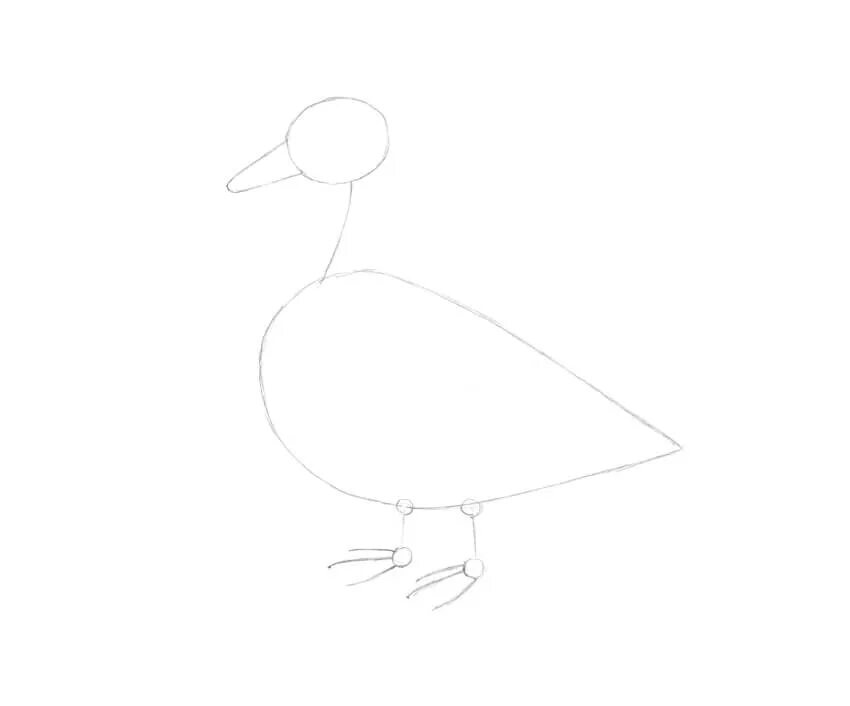 Утка раскраска. Мини уточка рисунок. Рисование большая утка. Утенок карандашом. Как нарисовать утку лалафан.